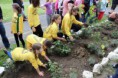 /album/a2013-06-02-1-napraforgo-emlekverseny/img-2650-7-jpg/